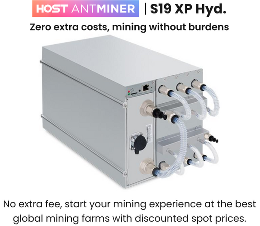 HOST ANTMINER S19 XP Hyd